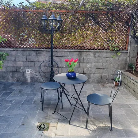 Il Tulipano Cerro (Laveno-Mombello)